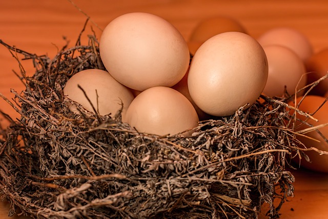 Eieren koken: tips, technieken en moderne innovaties